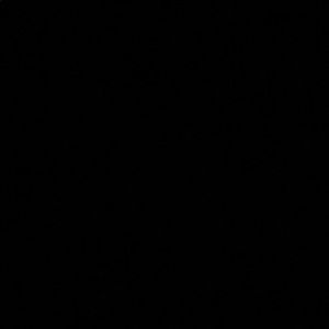 Meet your Posher, Deshon